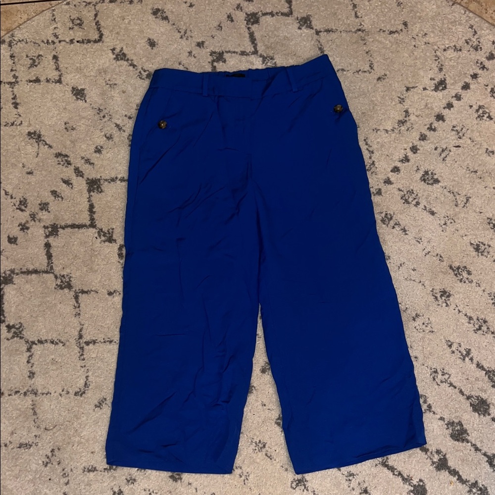 Talbots Vibrant Blue Trousers
